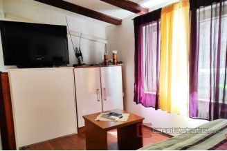 007 5119 30 Vis stone house in center for sale