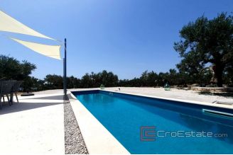 009 Brac house with a sea view and pool