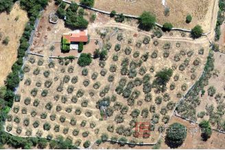 007 2041 42 island brac house with olive grove for sale