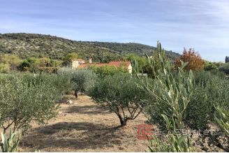 007 2041 42 island brac house with olive grove for sale