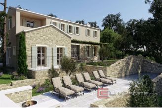 010 1015 03 Novigrad house with pool for sale