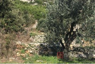 004 5197 30 Mljet building land with sea view for sale