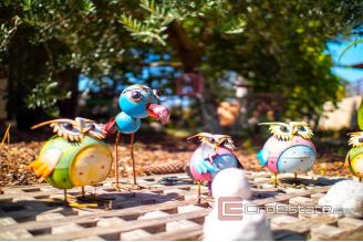 020 2021 331 Zadar apartment villa wiht pool for sale