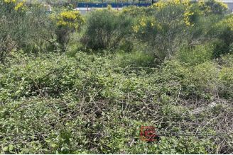 006 2030 49 Kastela Building land near the sea for sale