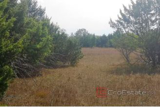 003 5252 30 Split area agricultural land for sale