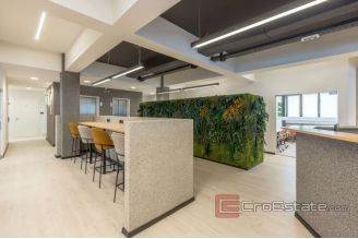 014 2030 59 Split Modern decorated office space for rent