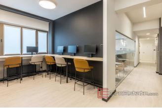 014 2030 59 Split Modern decorated office space for rent
