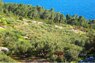 004 2029 67 island hvar agricultural plot for sale