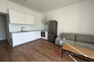 008 2038 63 split center two bedroom apartment for rent