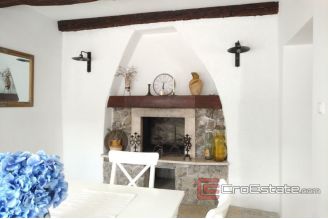 019 2018 238 Crikvenica summer house with a pool for sale