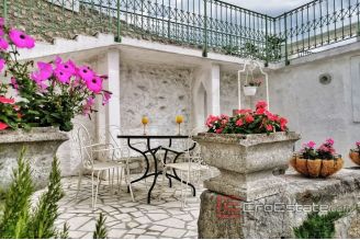 019 2018 238 Crikvenica summer house with a pool for sale