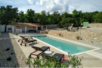 019 2018 238 Crikvenica summer house with a pool for sale