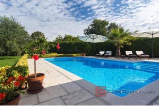 020 1021 11 Krk  house with a pool for sale