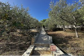 016 2041 58 island ugljan villa second row from the sea for sale