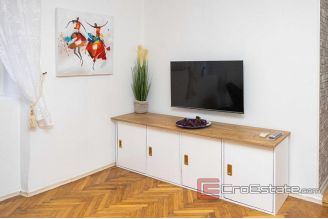 009 2043 92 Split center newly renovated apartment for rent