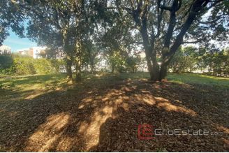 008 2016 594 Zadar Ground floor near the sea for sale