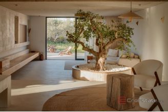 020 2031 108 Solta Luxury villa with pool and a sea vies for sale