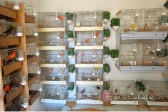 020 2021 379 Omis large estate with houses for vacation and tourism for sale