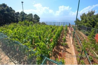 020 2021 379 Omis large estate with houses for vacation and tourism for sale