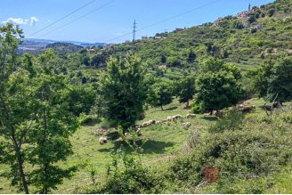 003 2031 124 Near Split building land with open view for sale