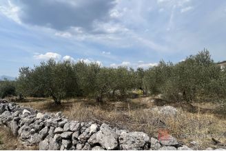 004 2046 23 Omis Spacious building plot for sale
