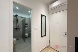 008 2049 10 Split area modern one bedroom apartment for rent