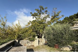 011 2046 33 Brac Agricultural land with sea view for sale