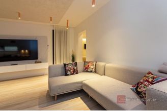 009 2048 22 Split area Luxury two bedroom penthouse for rent