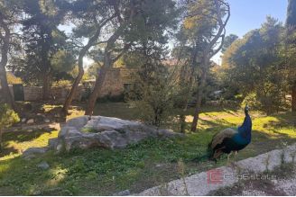 004 2036 117 Split Spacious for bedroom apartment in the center of the city for sale