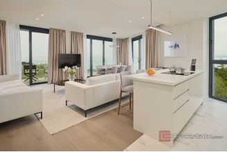 010 2046 48 umag duplex penthouse in modern new building sale