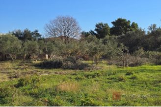 010 2031 159 Kastela Building land with building permit for sale