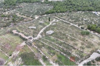 006 2049 25 Island of Brac Spacious estate in an idyllic location for sale