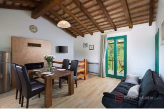 011 1026 03 Pazin Large estate with holiday homes for sale
