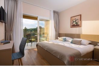 011 1026 03 Pazin Large estate with holiday homes for sale