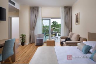 011 1026 03 Pazin Large estate with holiday homes for sale