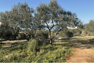 005 2052 11 Peljesac Building land with a sea view for sale