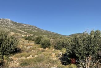 007 2052 12 Peljesac Old stone house in the first row to the sea for sale