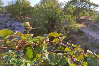 004 5364 30 island brac building land in island settlement for sale