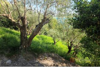 007 2021 411a near zadar land plot first row to the sea for sale