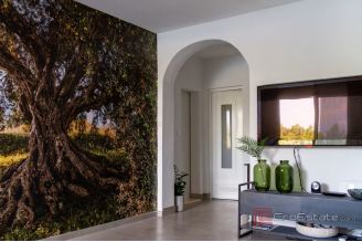 015 2052 50 Korcula Stone villa in the first roe to the sea for sale