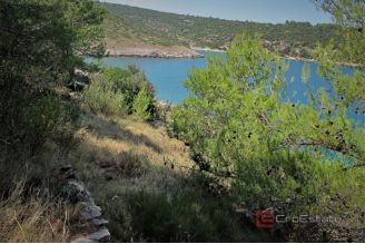 006 2031 194 Brac House with land in the first row to the sea for sale