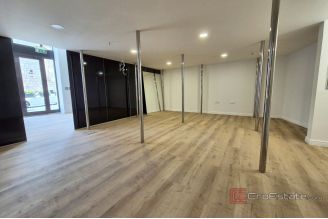 009 2016 663 split representative business premises in frequent location for rent