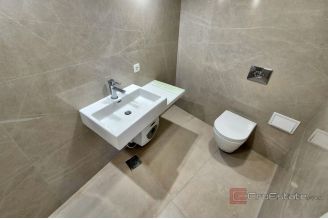 009 2016 663 split representative business premises in frequent location for rent