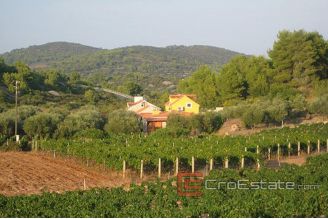 Estate_Vis_18