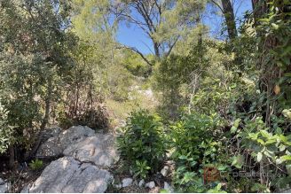007 2052 73 Korcula Land with a sea view for sale
