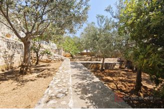 020 2051 29 Rogoznica Villa with pool and olive grove for sale