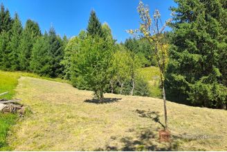 012 1026 22 near rijeka house with a garden for sale