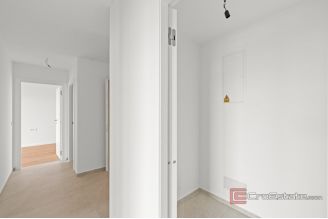 010 2053 07 Novigrad Beautiful apartment with garden and a sea view sale