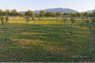 016 2052 79 Gracac Spacious estate with stone houses for sale