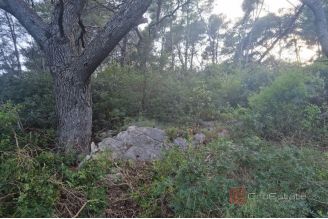 012 5418 30 Veliki Skolj Private island a peaceful oasis in nature for sale